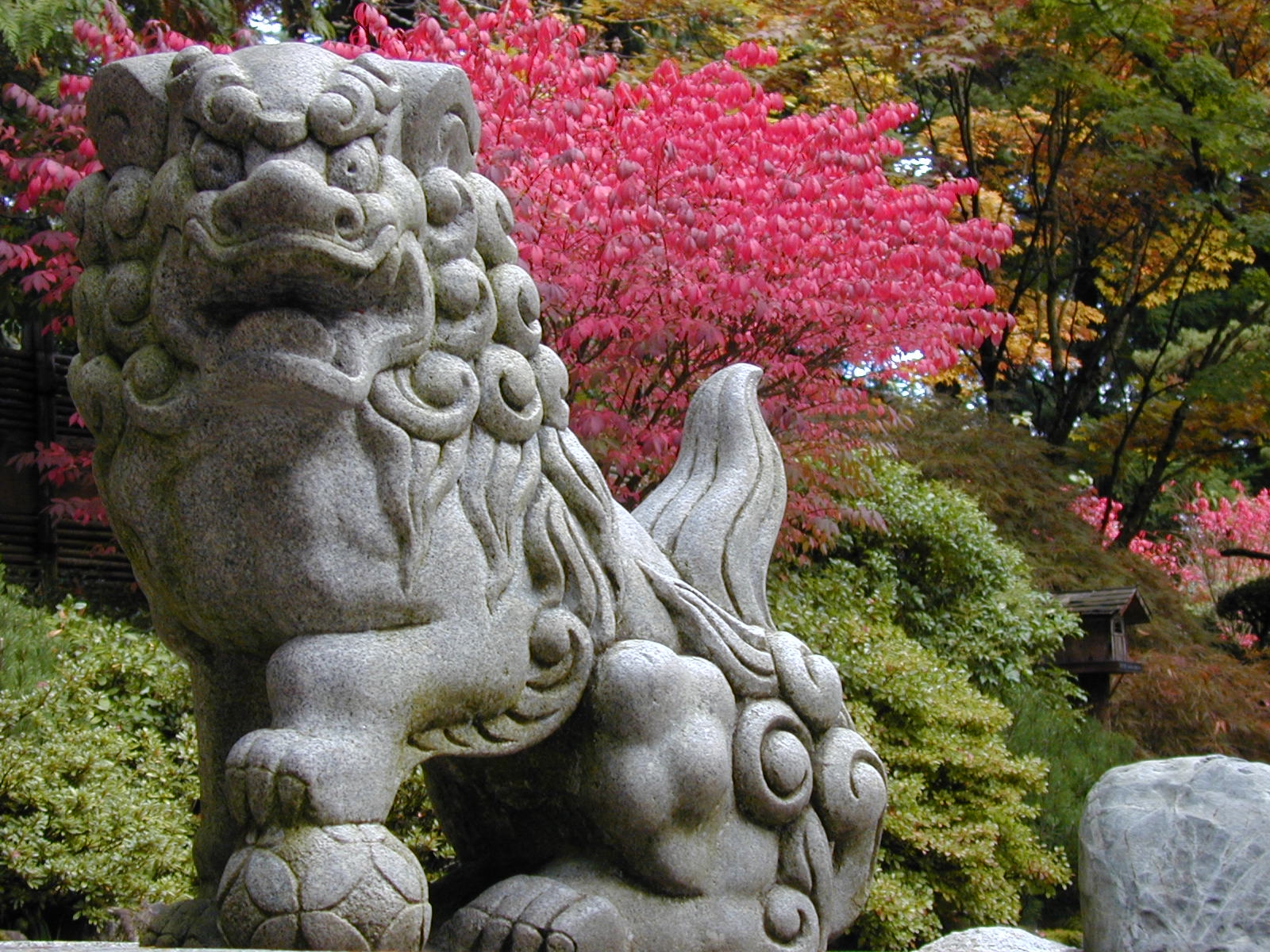 Japanese garden design | joycetredavell